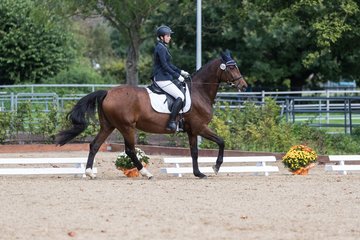 Bild 298 - Fuchshof Turnier